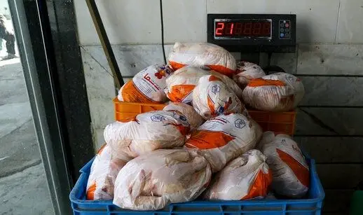 قیمت عمده فروشی مرغ به ۴۷ هزار تومان رسید