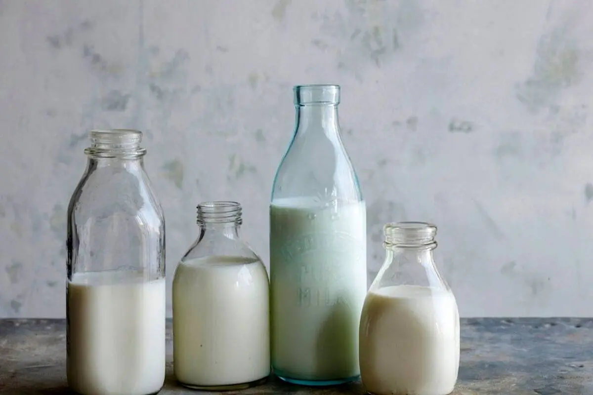 شیر و شکر باز هم گران می‌شود؟