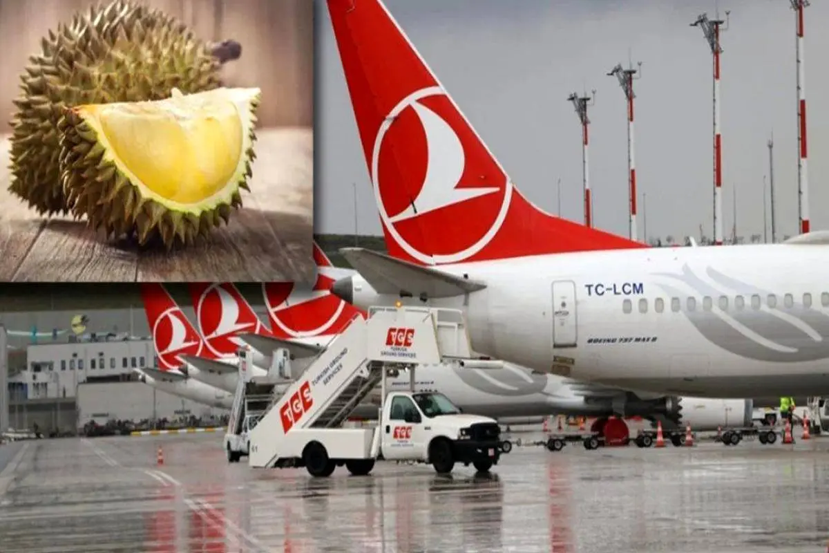 فرود اضطراری هواپیمای ترکیش ایر در استانبول

