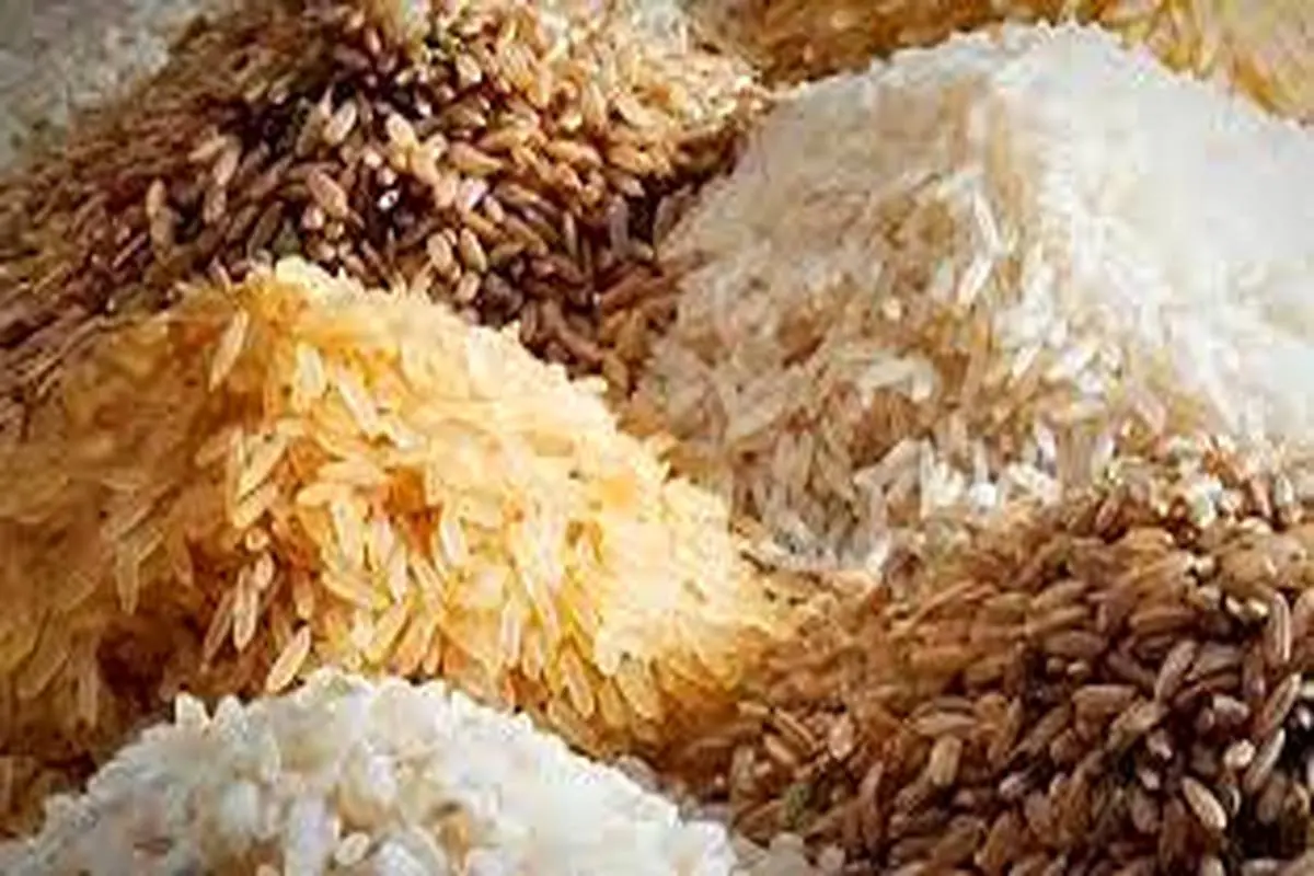 جدیدترین قیمت برنج ایرانی در بازار | برنج هاشمی کیلویی چند؟