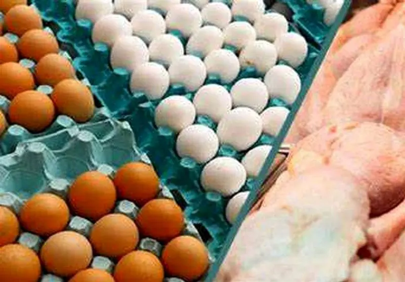  سازمان حمایت: افزایش قیمت مرغ و تخم مرغ به ما اعلام نشده است

