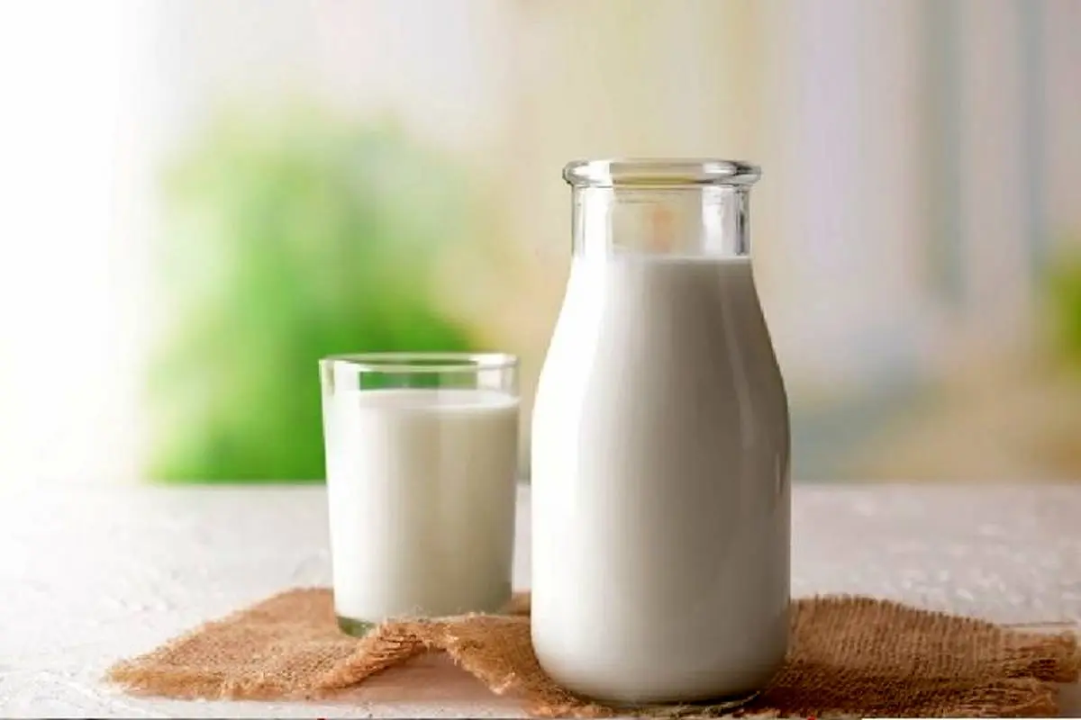 لاغری فوری با مصرف شیر تازه حقیقت دارد؟