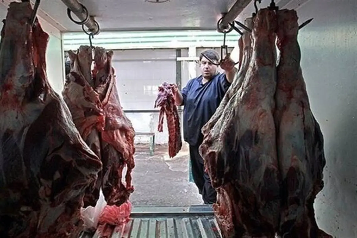 معاون وزیر جهاد: گوشت وارد کردیم قیمتها پایین آمد/ برای نیازهای شب عید مشکلی نداریم