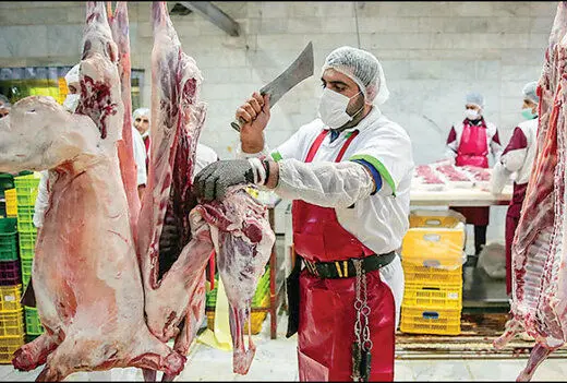 برنامه دولت برای کنترل بازار گوشت چیست؟