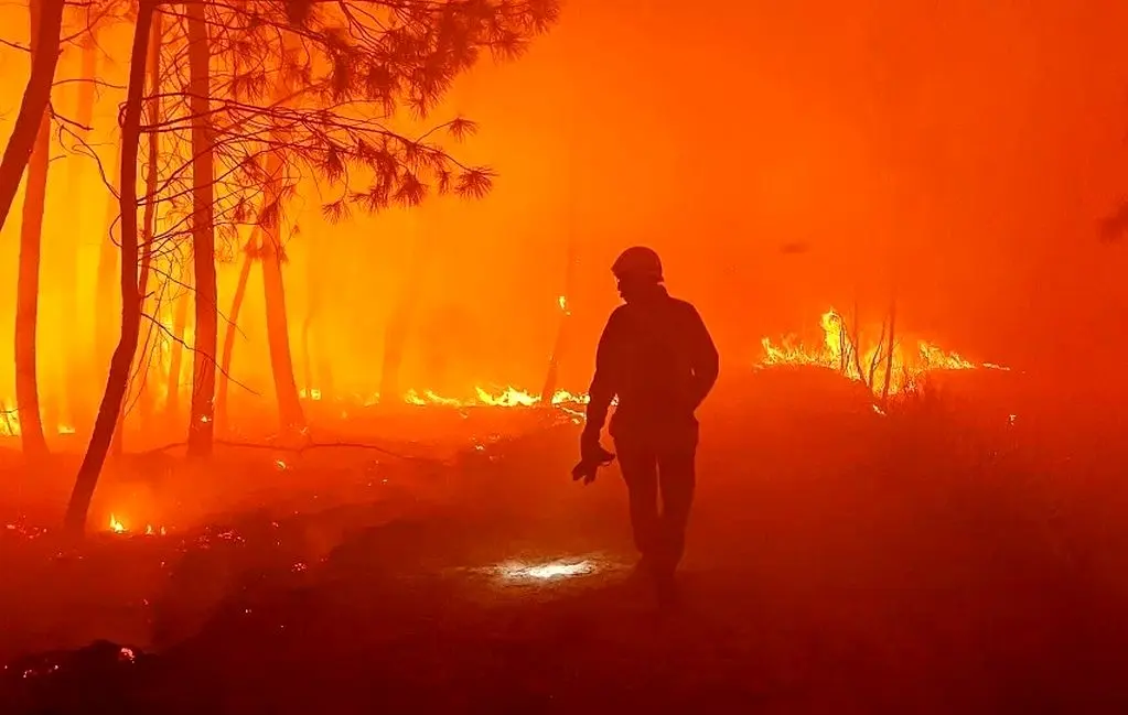 فیلم| آتش‌سوزی‌های جنگلی در مرز اسپانیا و فرانسه