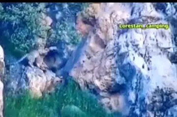 ثبت اولین تصویر پلنگ ایرانی در حال شکار بز کوهی در خرم‌آباد