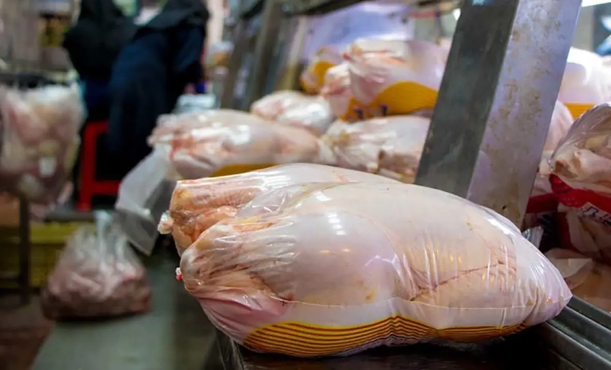 تداوم عرضه مرغ به قیمت مصوب در میادین و فروشگاه‌ها

