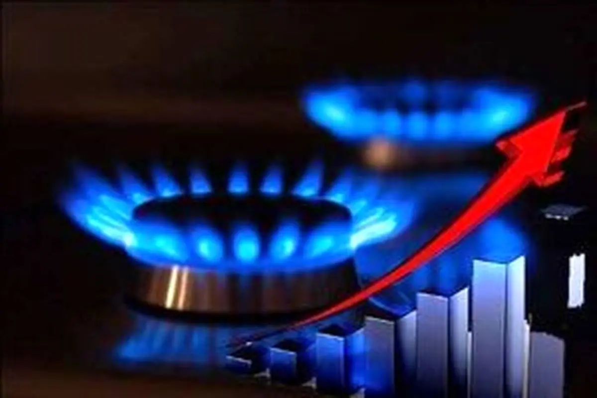 چند درصد از مصرف گاز کشور در بخش خانگی است؟