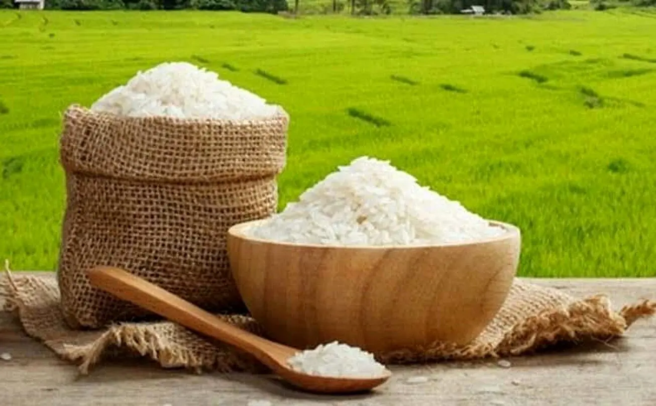 قیمت جدید برنج ایرانی

