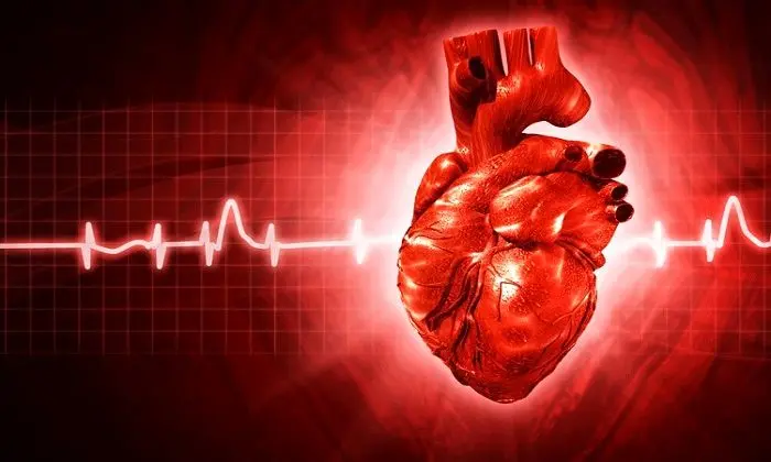 اینفوگرافیک | بیماری های قلبی در زنان