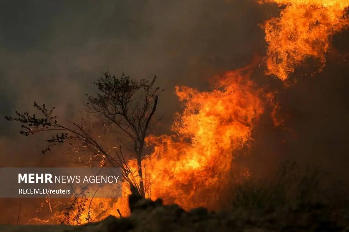 تصاویر | آتش سوزی های گسترده مناطق جنگلی اروپا