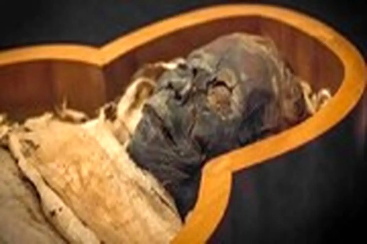 کشف مومیایی ۱۲۰۰ ساله یک نوجوان با پوست سالم! + فیلم
