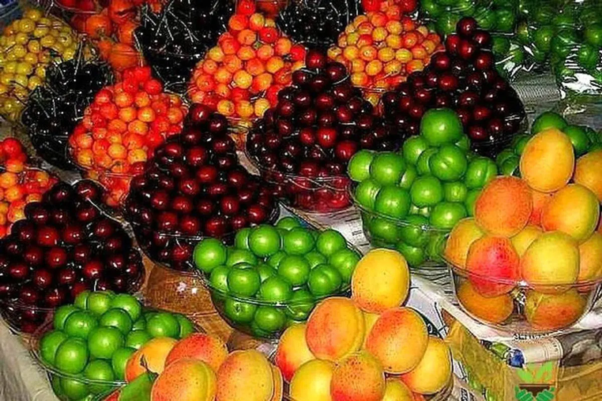 بازار میوه در مسیر کاهش قیمت
