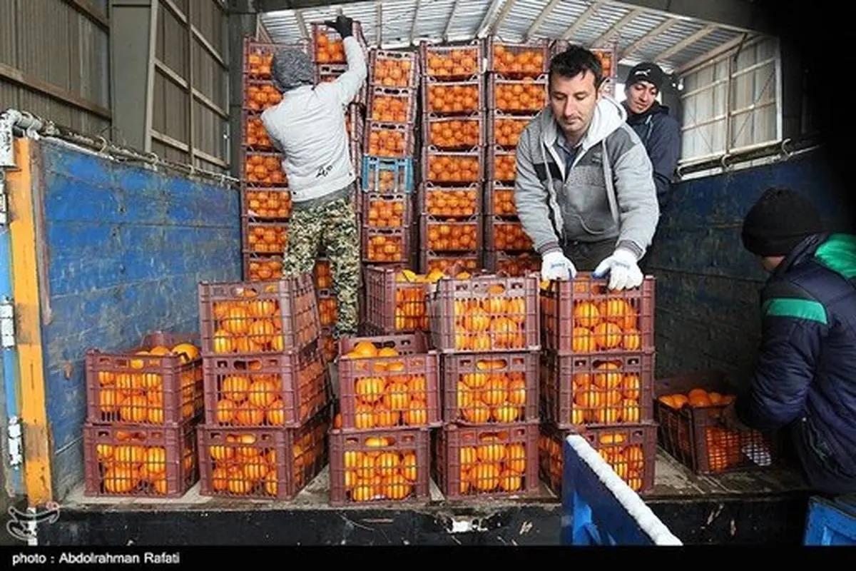 فروش میوه شب عید با ۱۵ درصد تخفیف/ دولت امسال در ذخیره سازی میوه ورود نمی‌کند