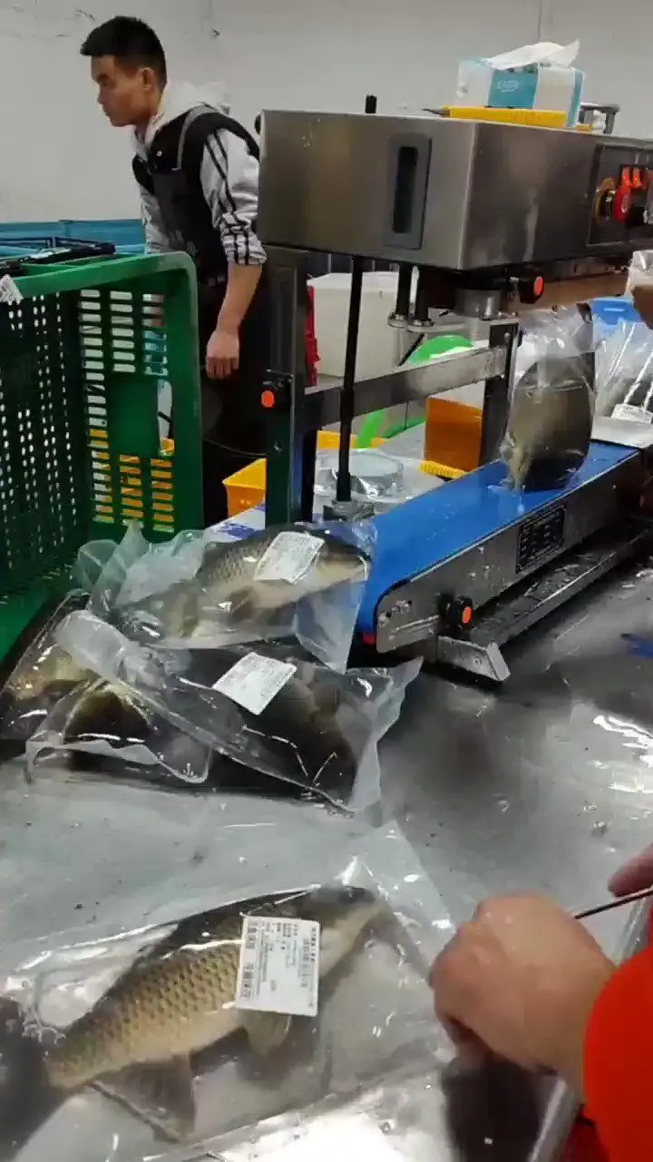 نوع جدید حیوان آزاری؛ بسته‌بندی ماهی زنده در چین!