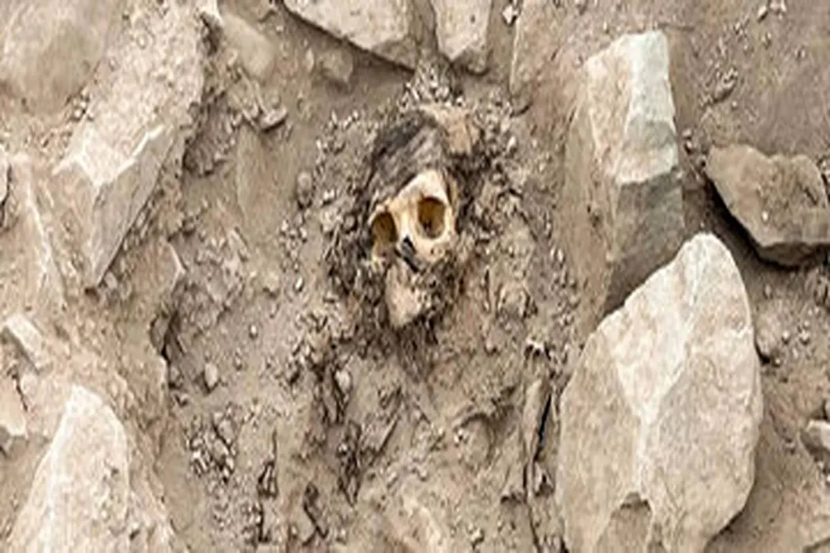 عکس|معمای مومیایی مدفون زیر کوهی از زباله