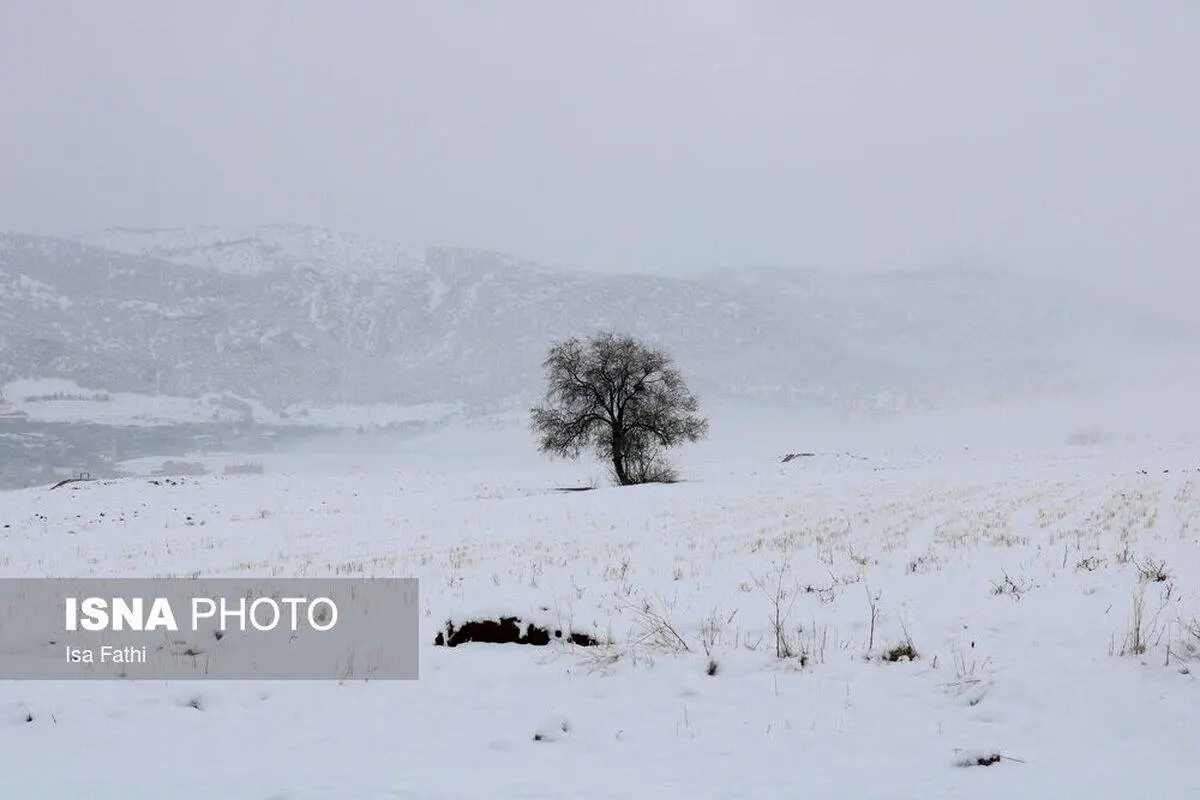 تصاویر| بارش نخستین برف زمستانی یاسوج