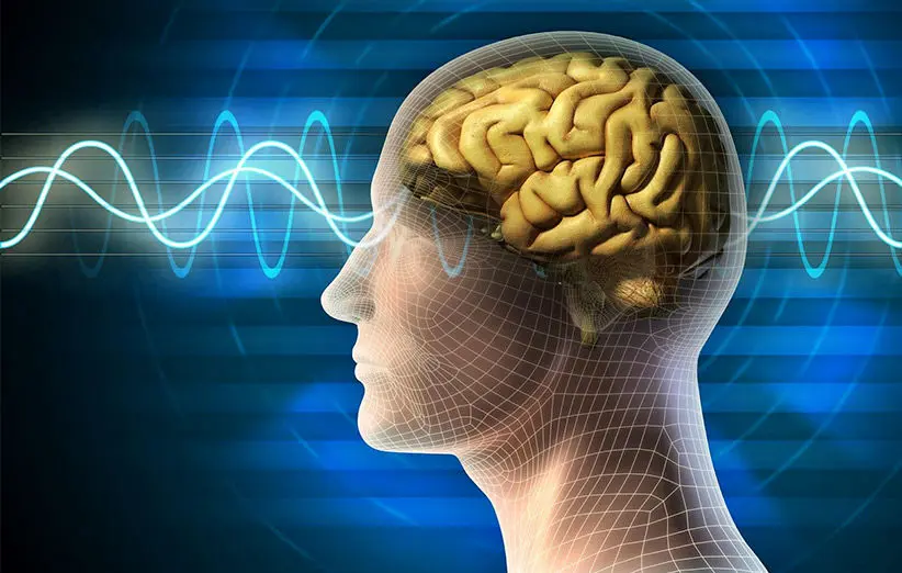 خود آگاهی می‌تواند با تعادل بین نورون‌های مغز انسان مرتبط باشد