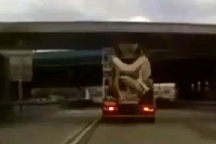 فیلم| ریزش وحشتناک پل روی سر یک خودرو پس از گیر کردن کامیون