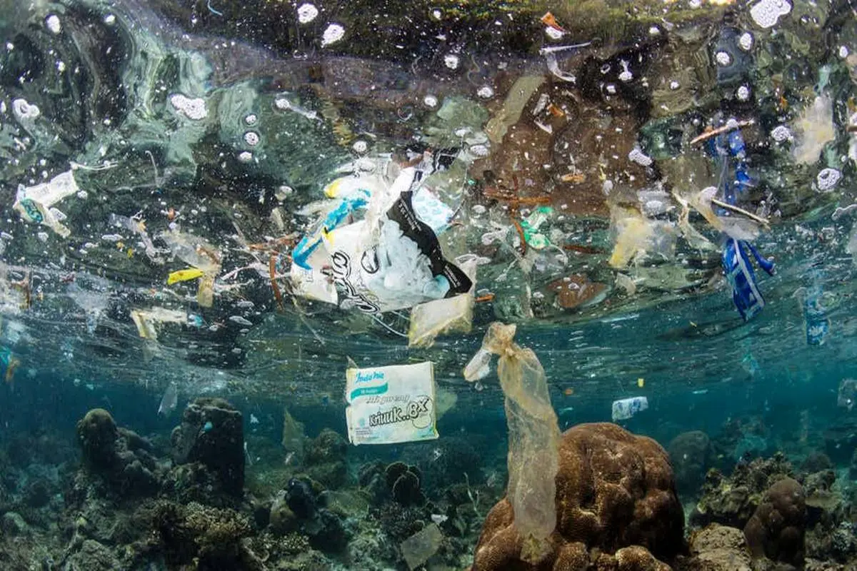 چرا تلاش برای جمع‌کردن پلاستیک‌های اقیانوس بی معنی است؟