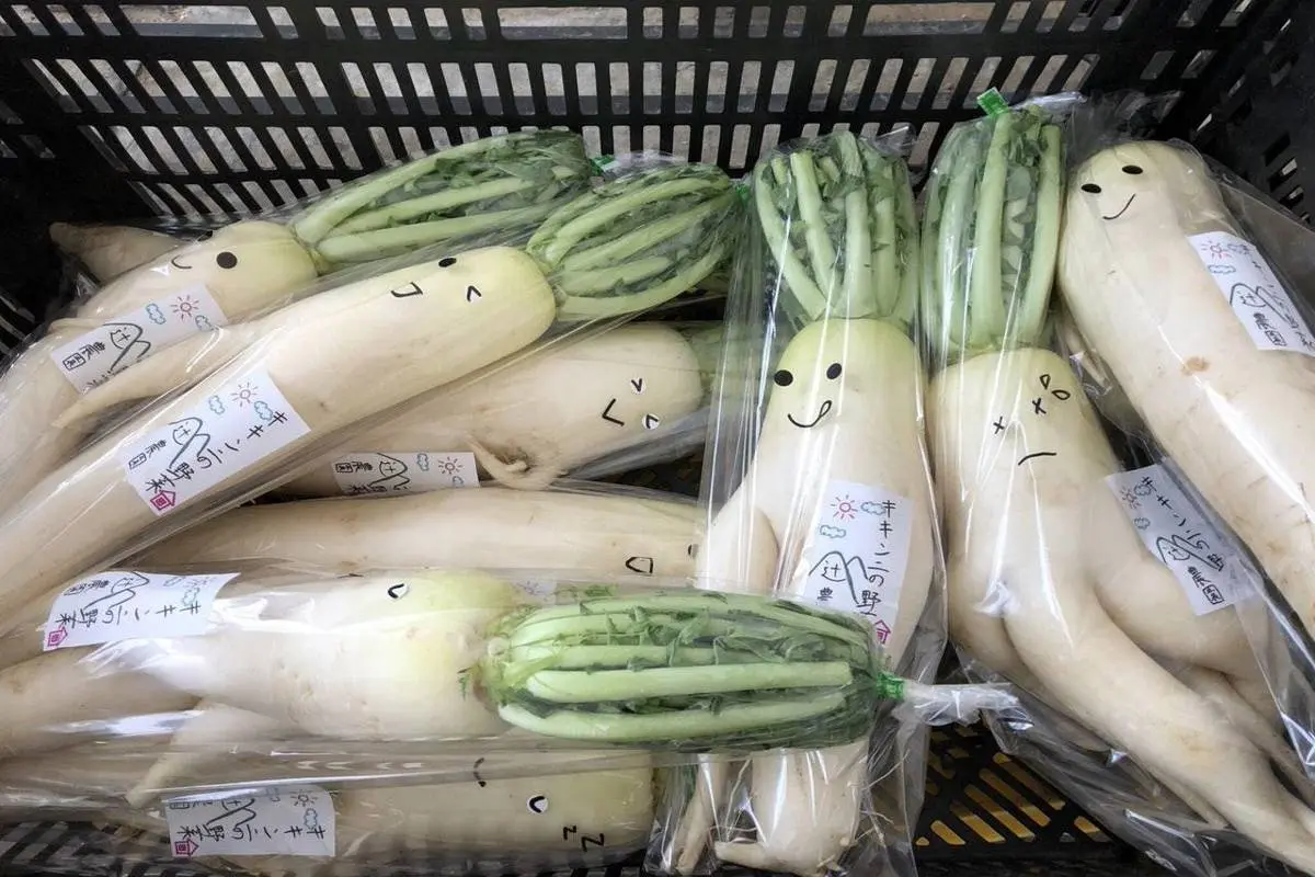 خلاقیت ژاپنی‌ها در بسته بندی سبزیجات /عکس