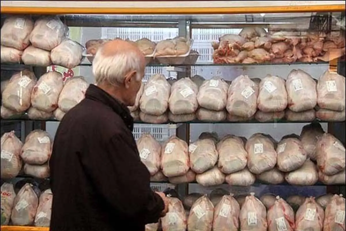 تولید مرغ افزایش و قیمت تخم مرغ کاهش یافت