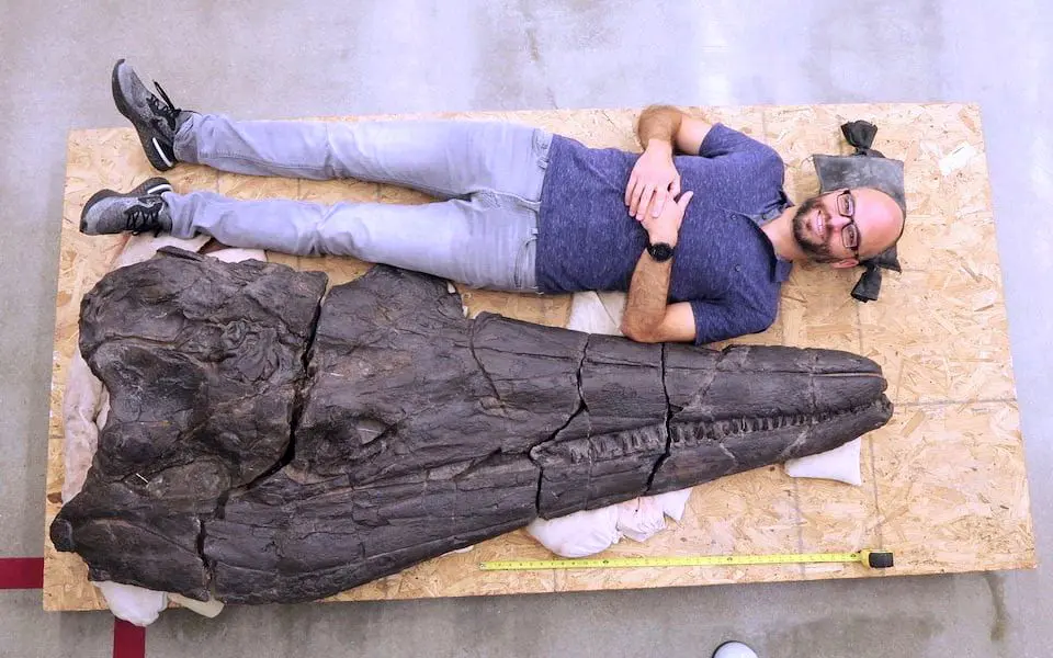 اولین غول جهان به طول 17 متر و وزن 40 تن را ملاقات کنید