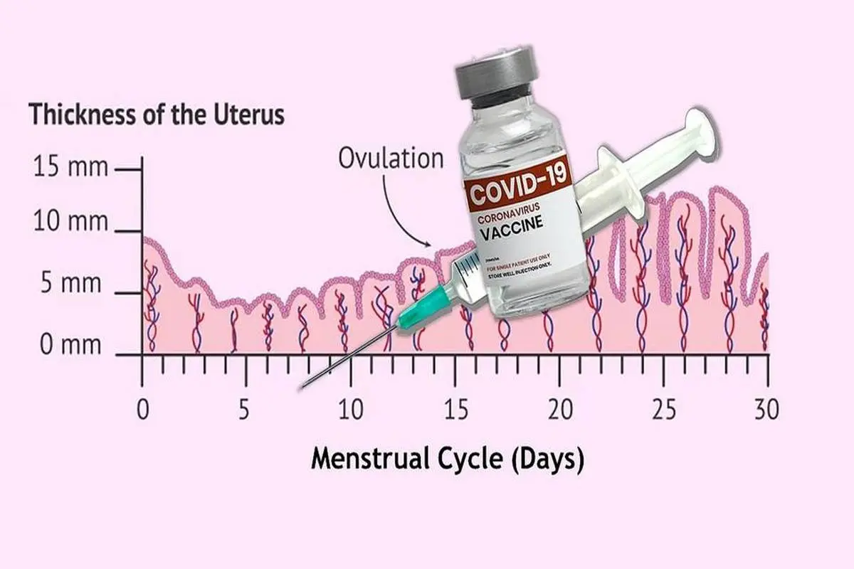 طولانی‌تر شدن چرخه قاعدگی در زنان پس از دریافت واکسن ضد کرونا