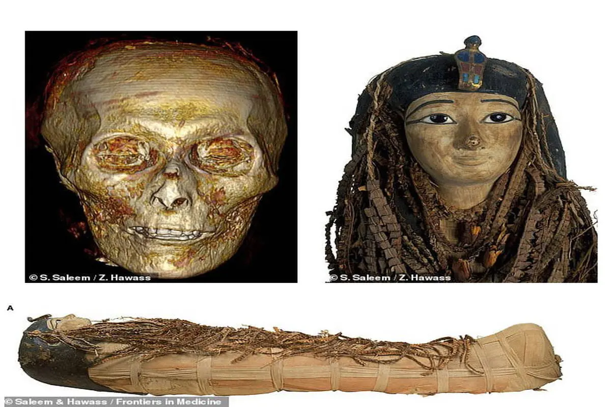 بازسازی دیجیتالی چهره آمنهوتپ اول فرعون 35 ساله مصری/ عکس