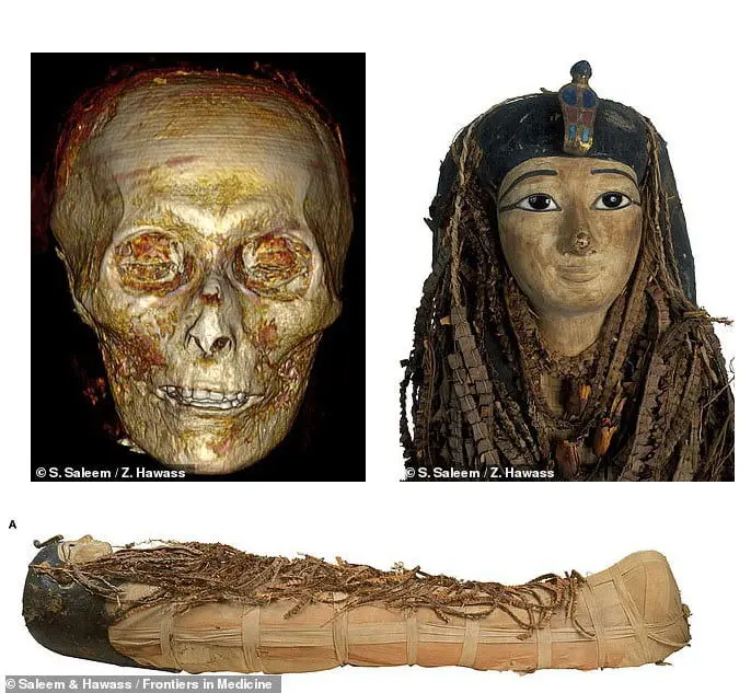 بازسازی دیجیتالی چهره آمنهوتپ اول فرعون 35 ساله مصری/ عکس