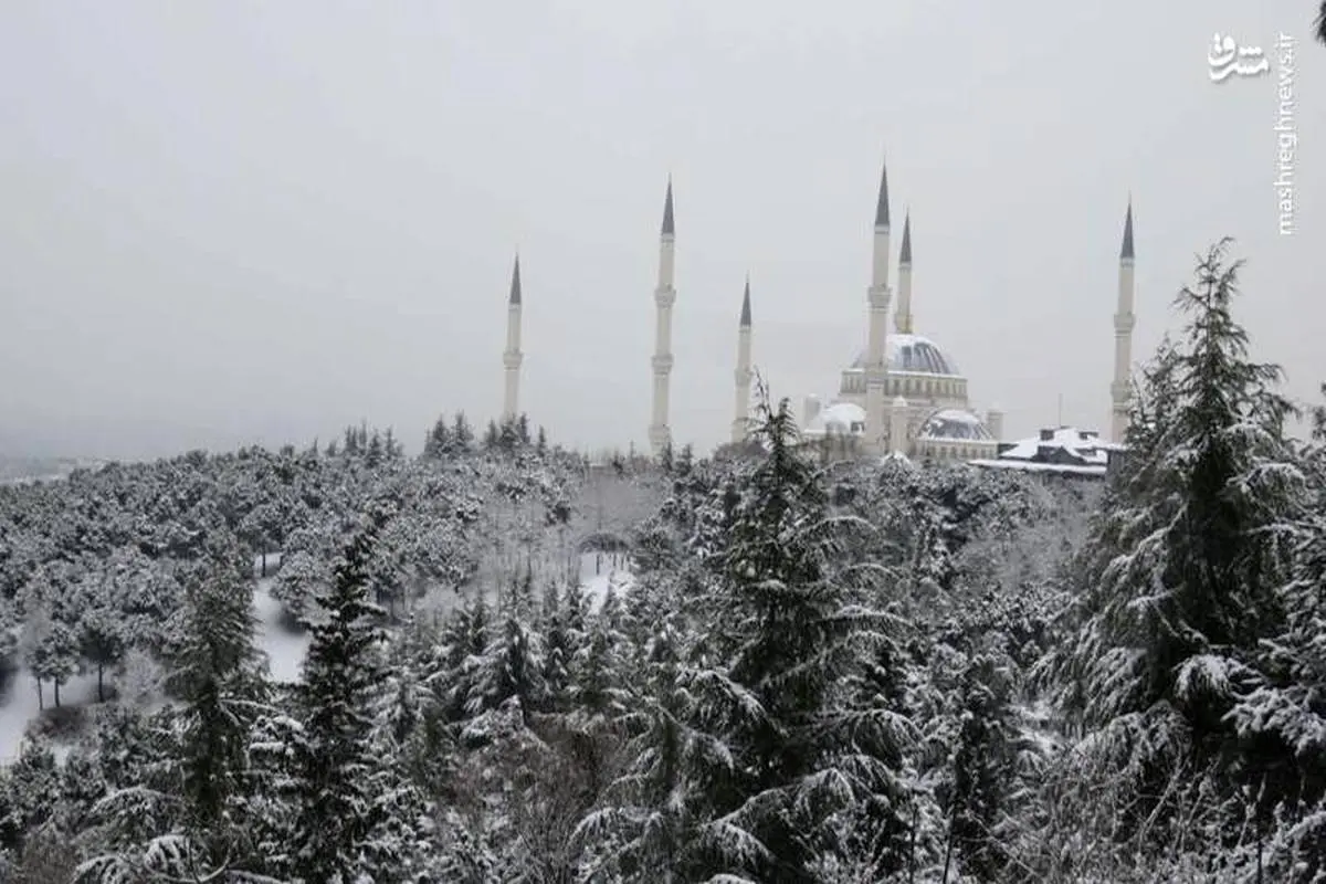 تصاویر/ بارش شدید برف در شهر استانبول