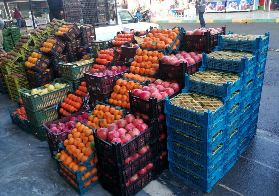 عرضه مستقیم «کیوی» و «پرتقال» توسط باغداران شمال در تهران