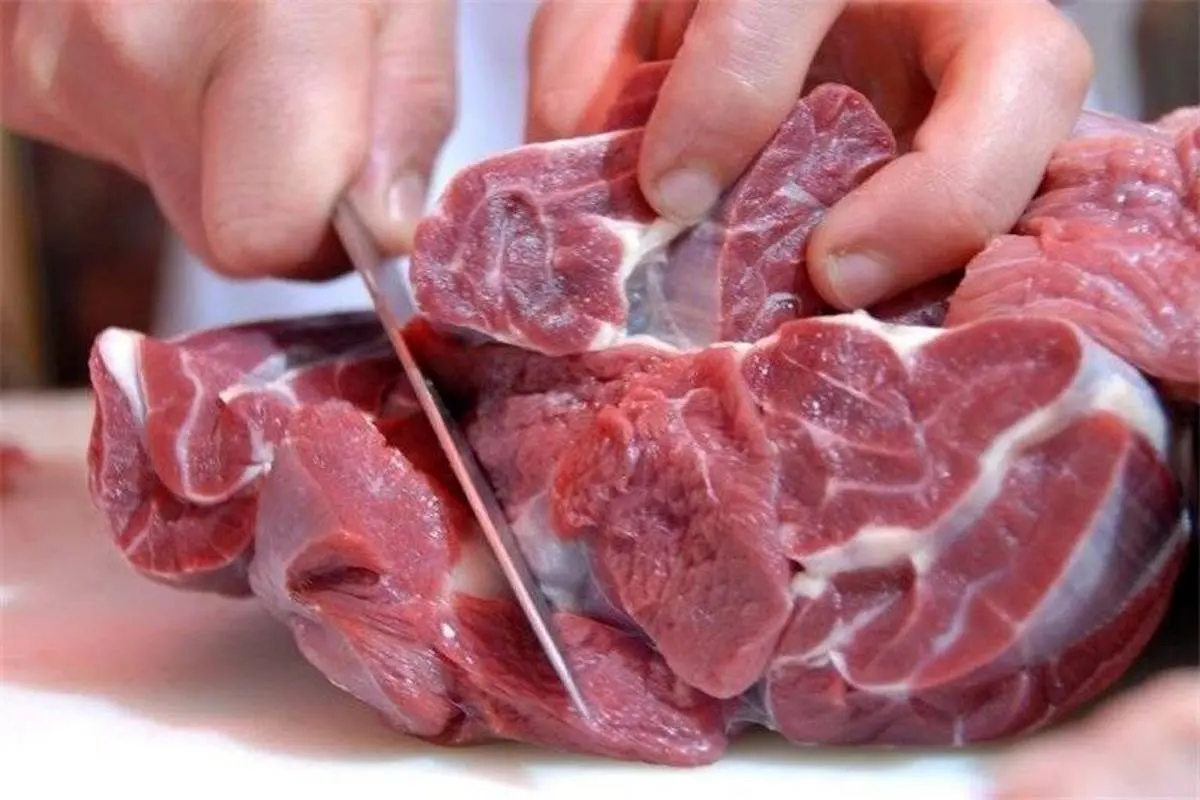 خبرگزاری دولت: رکوردشکنی قیمت گوشت قرمز در رسانه‌های منتقد دولت