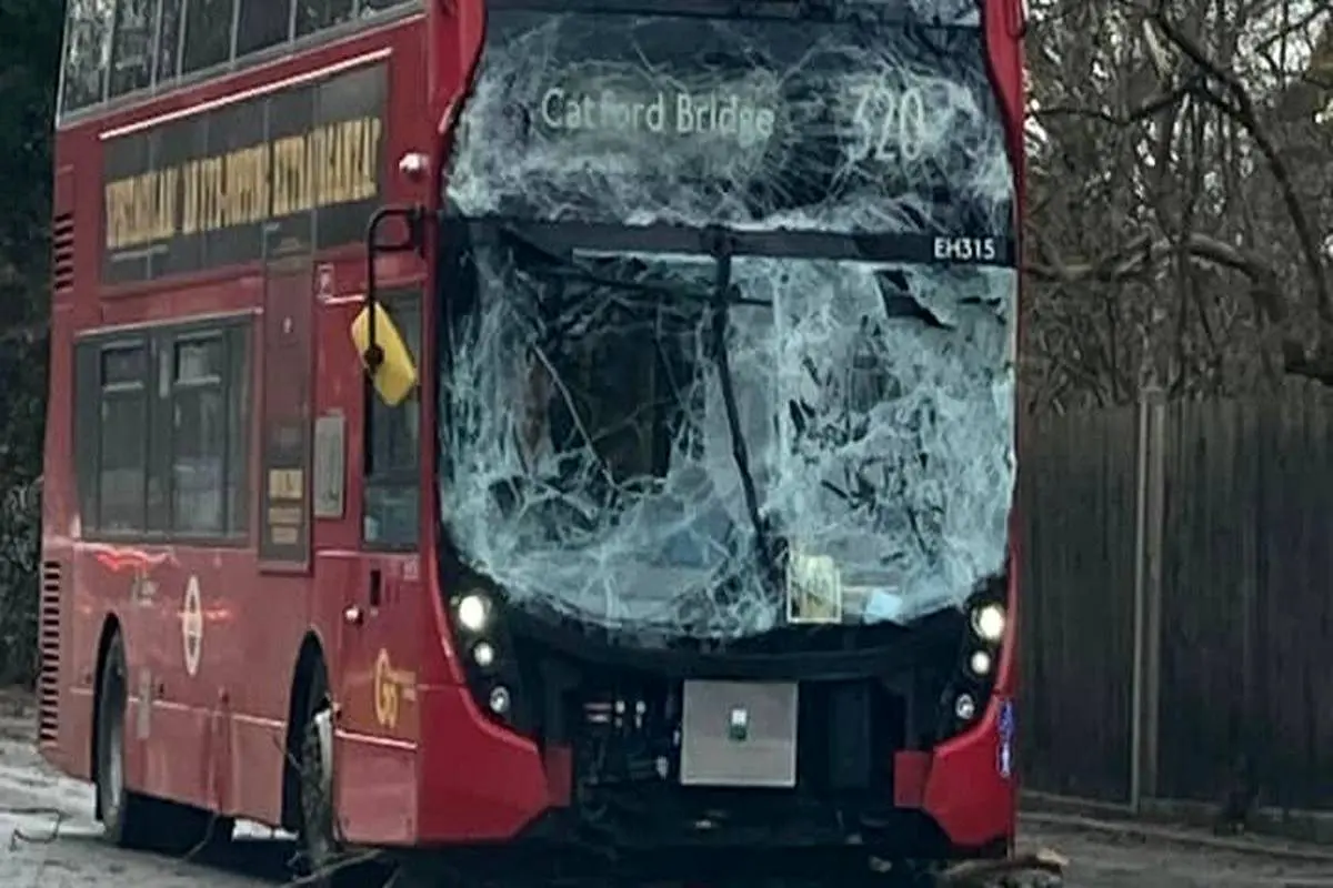 لحظه هولناک برخورد اتوبوس با درخت درحال سقوط + ویدئو