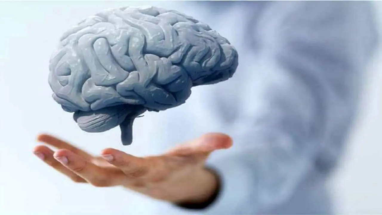 چند درصد از مغز انسان تا پایان عمر فعال است؟ + ویدئو