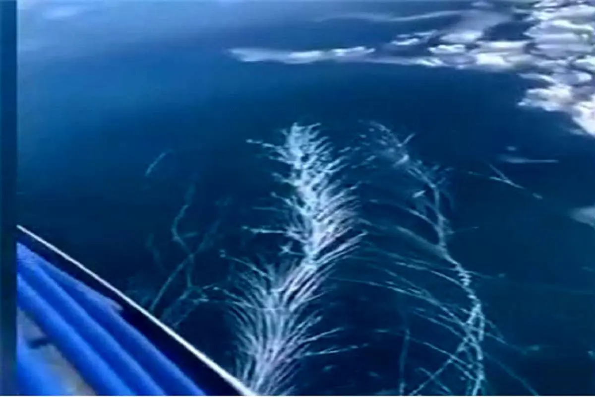 نمایی از حرکت کشتی یخ شکن بر روی یخ ها + ویدئو