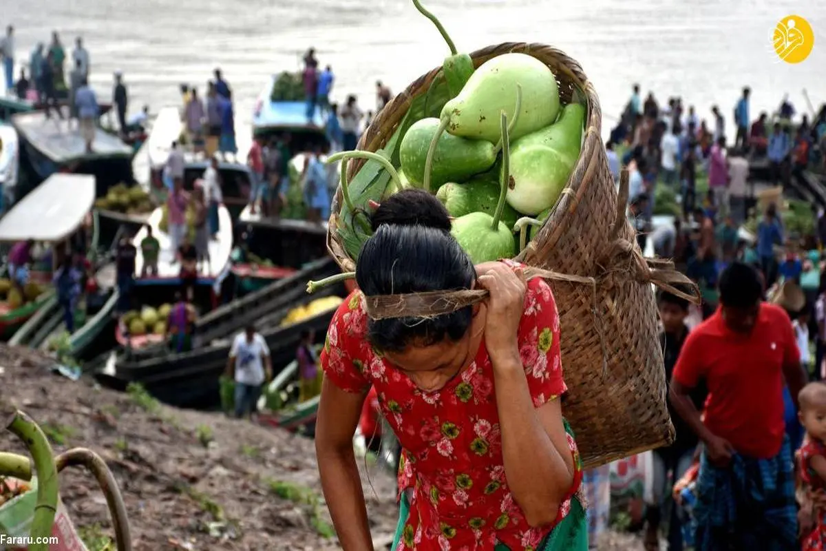 تصاویر| زنان کشاورز بنگلادش