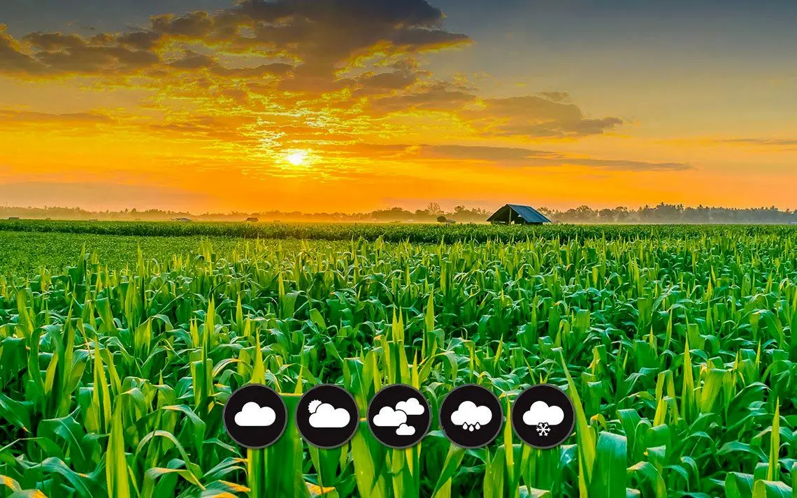 هشدارهای هواشناسی به کشاورزان درباره کاهش دما