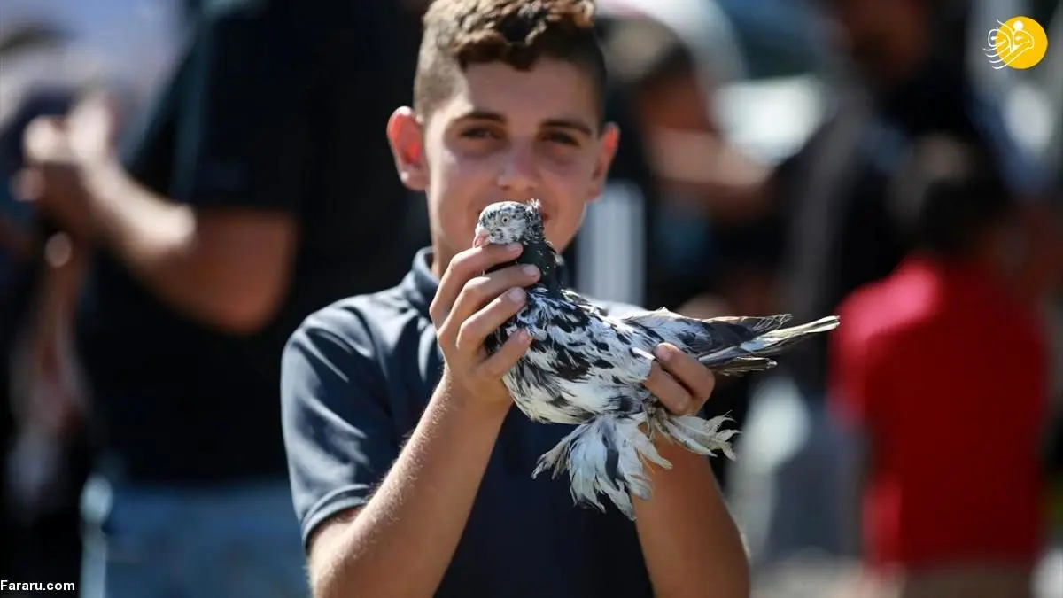 تصاویر| بازار پرندگان در فلسطین