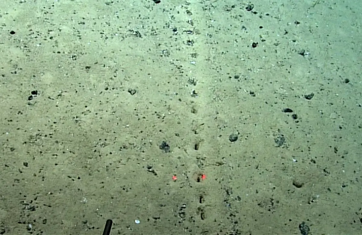 تصاویر | کشف حفره‌های مرموز و عجیب در کف اقیانوس اطلس!