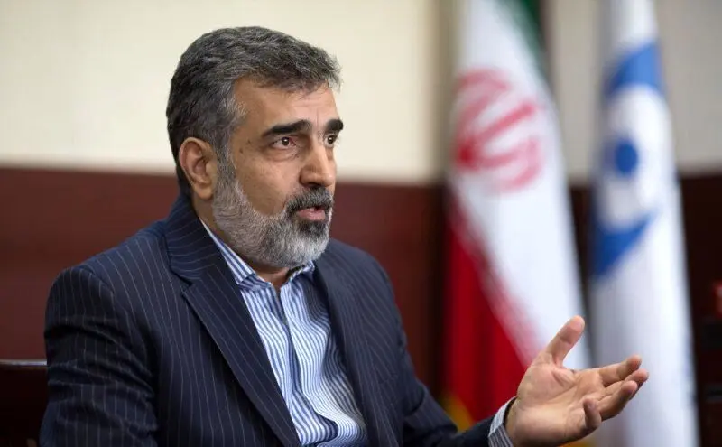ادامه همکاری ایران و آژانس، محور گفت‌وگو با گروسی