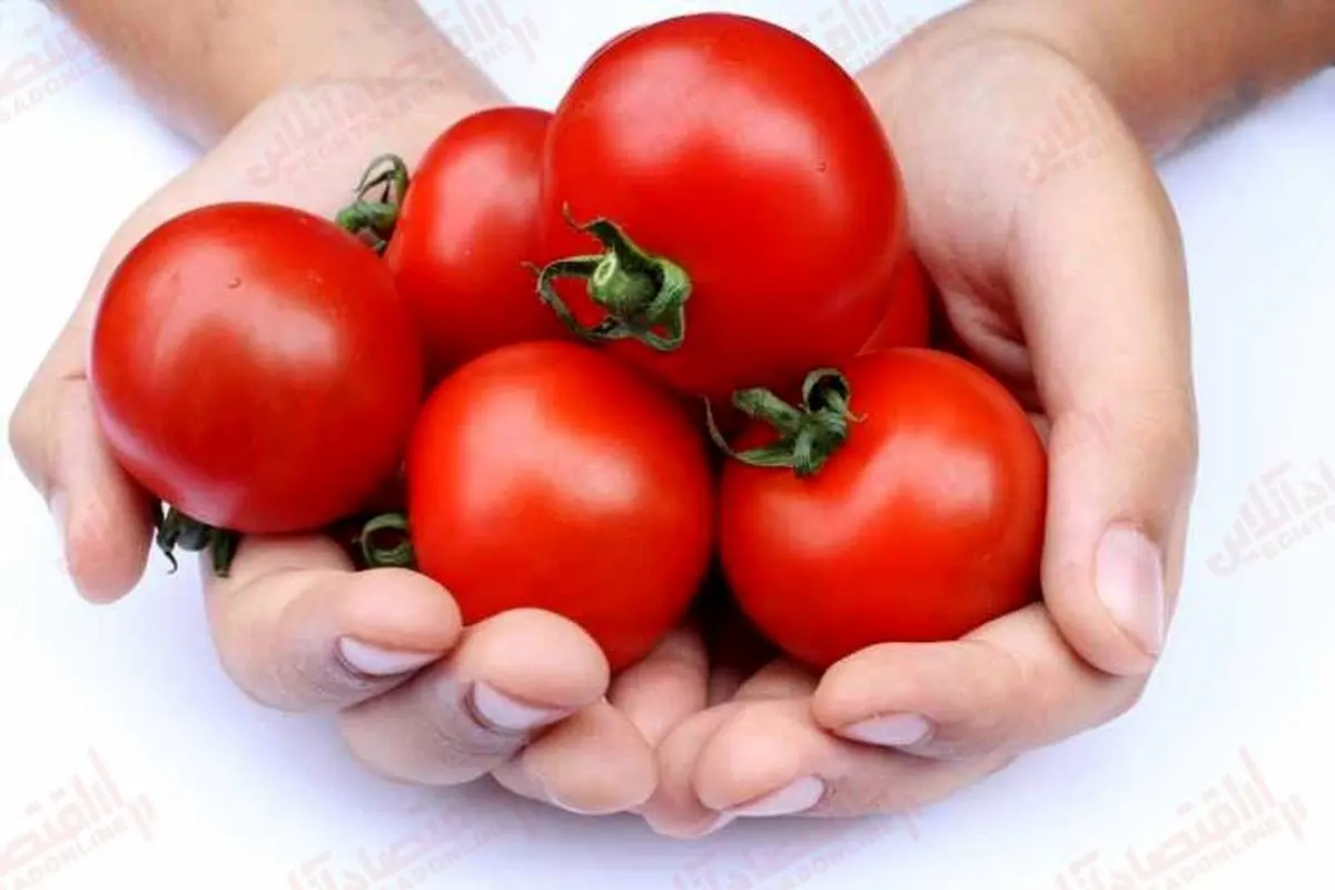 گوجه فرنگی برای سالمندان مفید است
