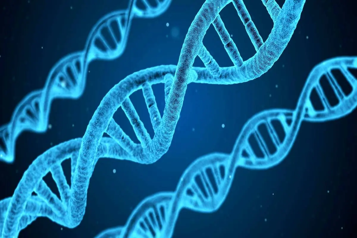  گونه انسان به‌خاطر فقدان برخی کدهای ژنتیکی از دیگر نخستی‌ ها متمایز شد