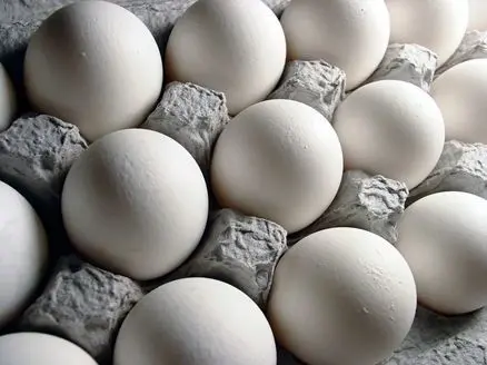 وزارت جهاد کشاورزی گران شدن تخم مرغ را تکذیب کرد!