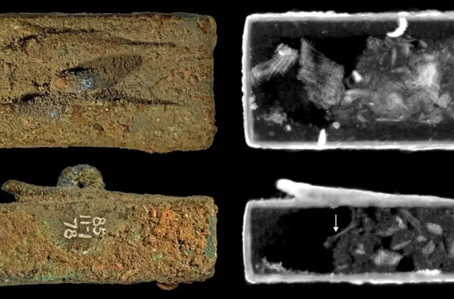  محتویات مرموز 6 تابوت مهروموم ‌شده 2500 ساله مصری فاش شد