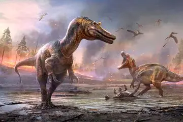 دایناسورها خیلی قبل‌تر از انسان‌ها، توانایی درک دیدگاه متفاوت یکدیگر را داشتند!