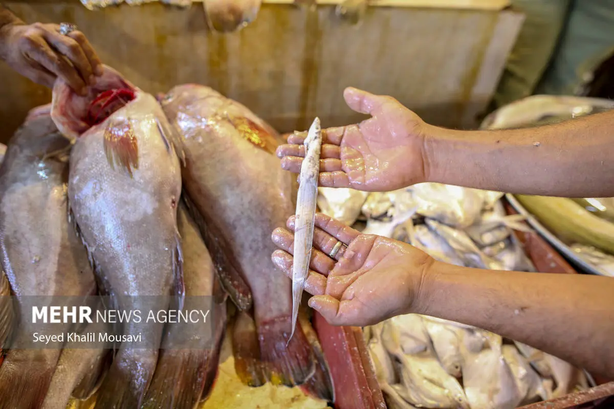 تصاویر | بازار ماهی فروشان آبادان