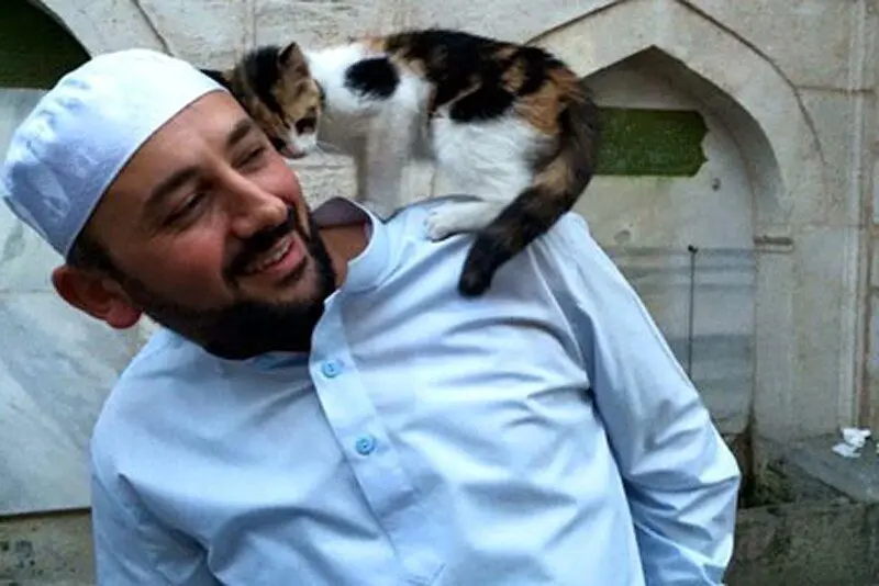 فیلم| رفتار بامزه یک گربه روی دوش امام اقامه نماز در ترکیه