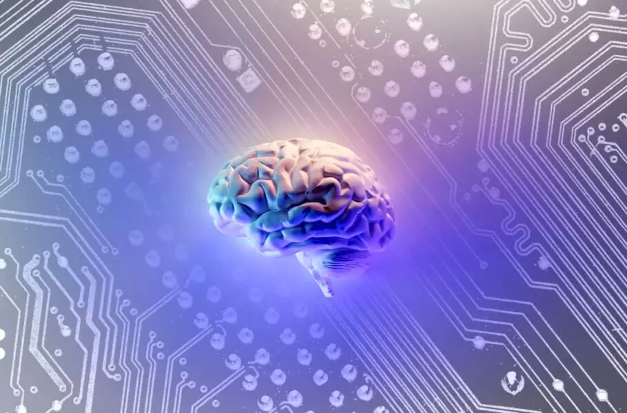 سلول‌های مغز انسان، کامپیوترهای زیستی آینده