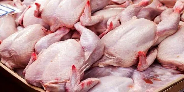 صدور مجوز واردات ۵۰ هزار تن گوشت مرغ گرم

